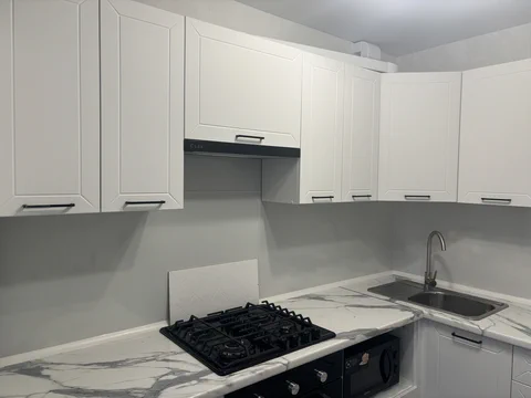 Кухонный гарнитур Вектор №2