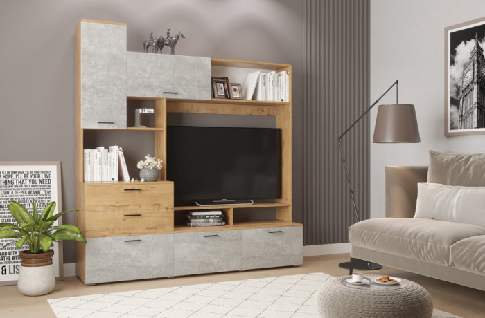 Центральная секция ДГ 183.1 Дуся