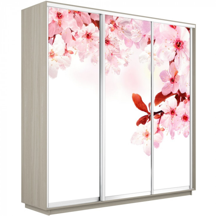 Шкаф купе Трио Фото Экспресс 1800х2400 Е1