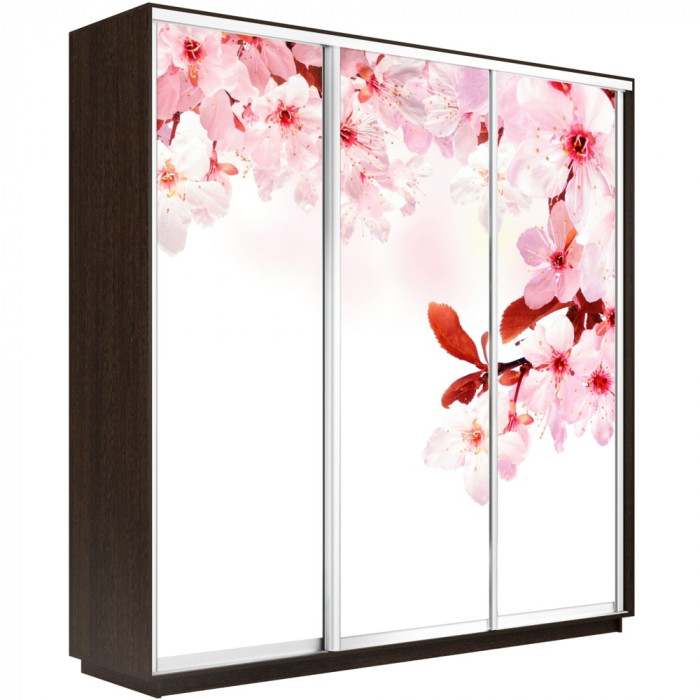 Шкаф купе Трио Фото Экспресс 1800х2400 Е1