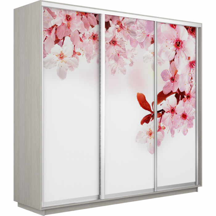 Шкаф купе Трио Фото Экспресс 1800х2400 Е1