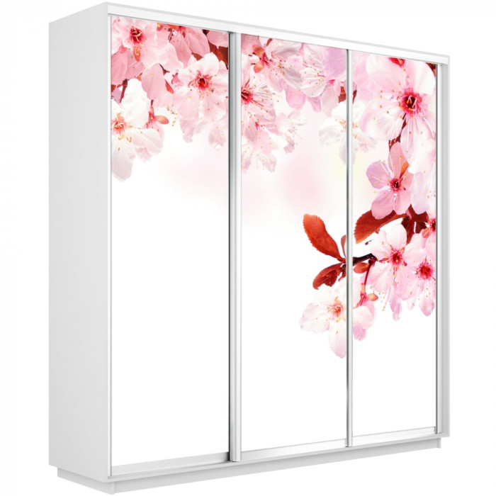 Шкаф купе Трио Фото Экспресс 2100х2400 Е1