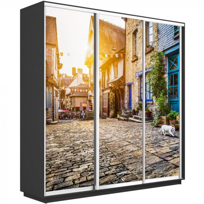 Шкаф купе Трио Фото Экспресс 2400х2400 Е1