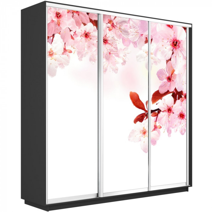 Шкаф купе Трио Фото Экспресс 2400х2400 Е1