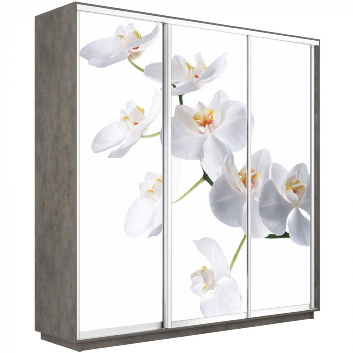 Шкаф купе Трио Фото Экспресс 2400х2400 Е1