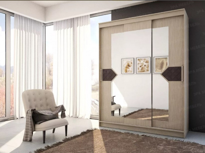 Шкаф купе Николь 3