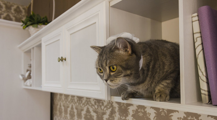 Полка длинная Классика