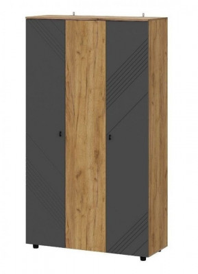 Шкаф трехстворчатый Байкал Графит NN-Мебель