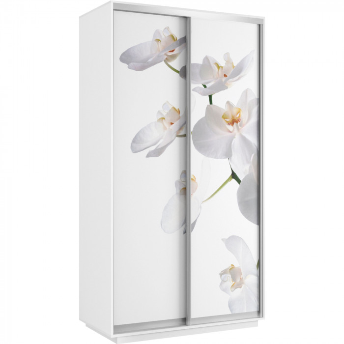 Шкаф купе Хит Фото Экспресс Е1