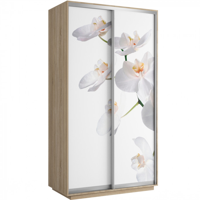 Шкаф купе Хит Фото Экспресс Е1