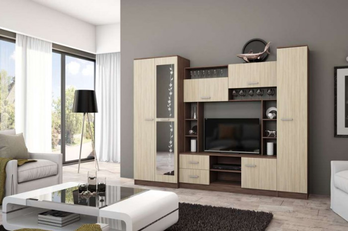 Гостиная Марта-11 Эра