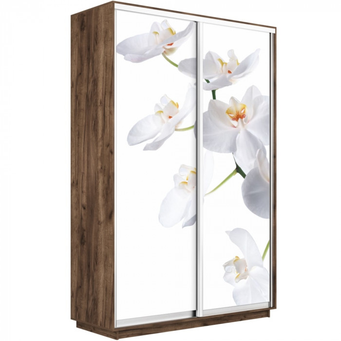 Шкаф купе Дуо Фото Экспресс 1200 Е1