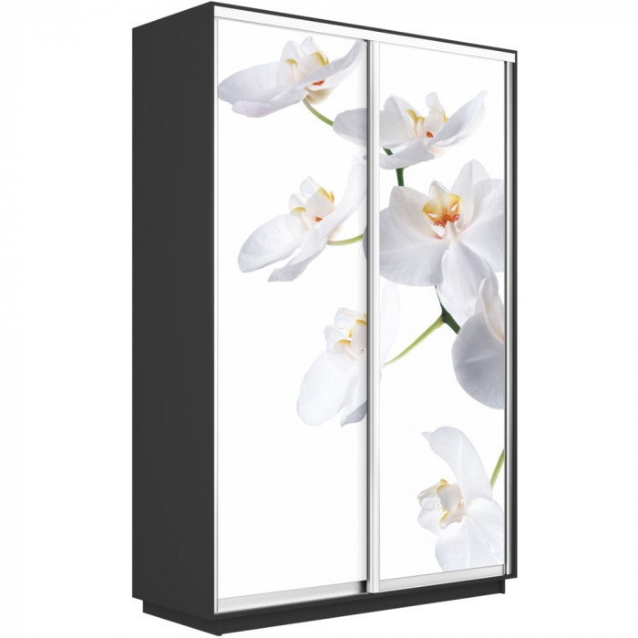 Шкаф купе Дуо Фото Экспресс 1200 Е1