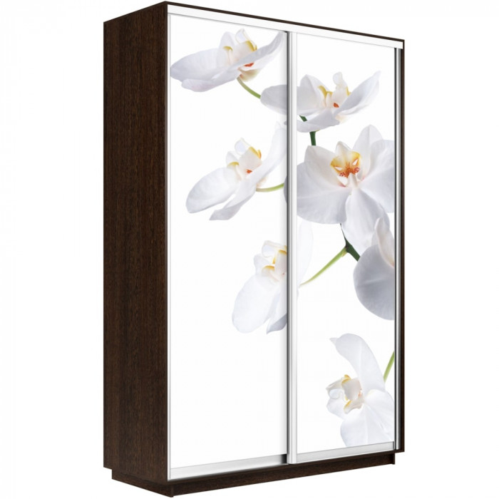 Шкаф купе Дуо Фото Экспресс 1200 Е1