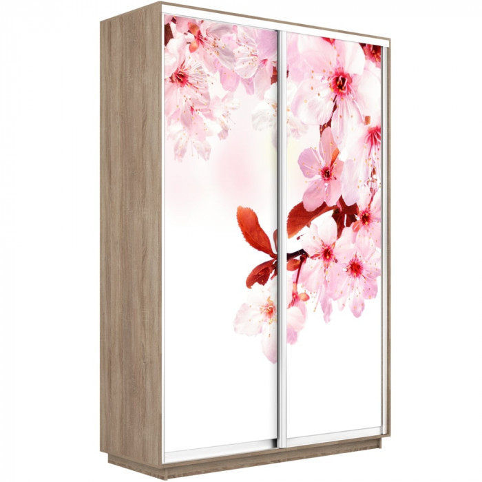 Шкаф купе Дуо Фото Экспресс 1600 Е1