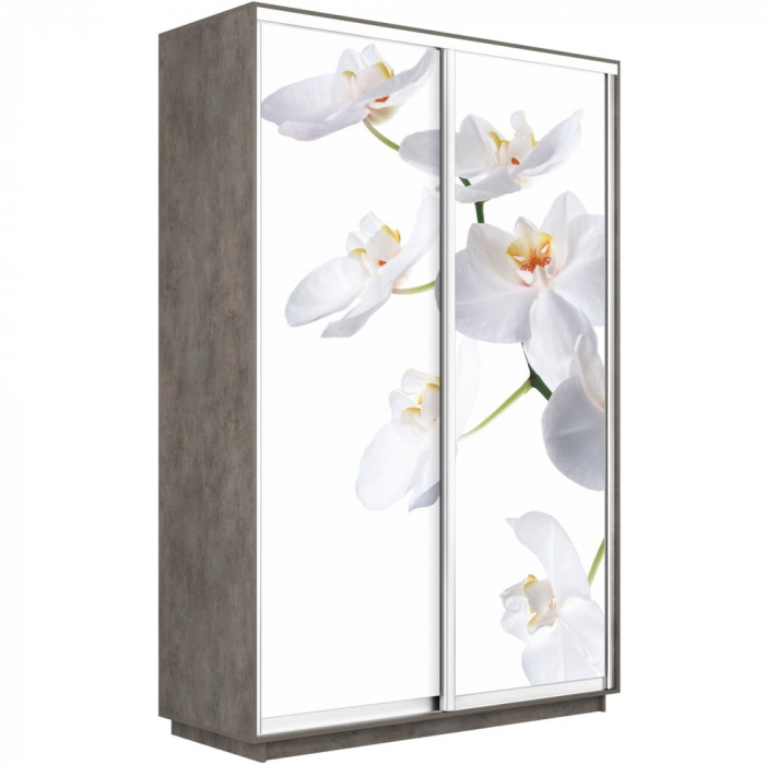 Шкаф купе Дуо Фото Экспресс 1600 Е1