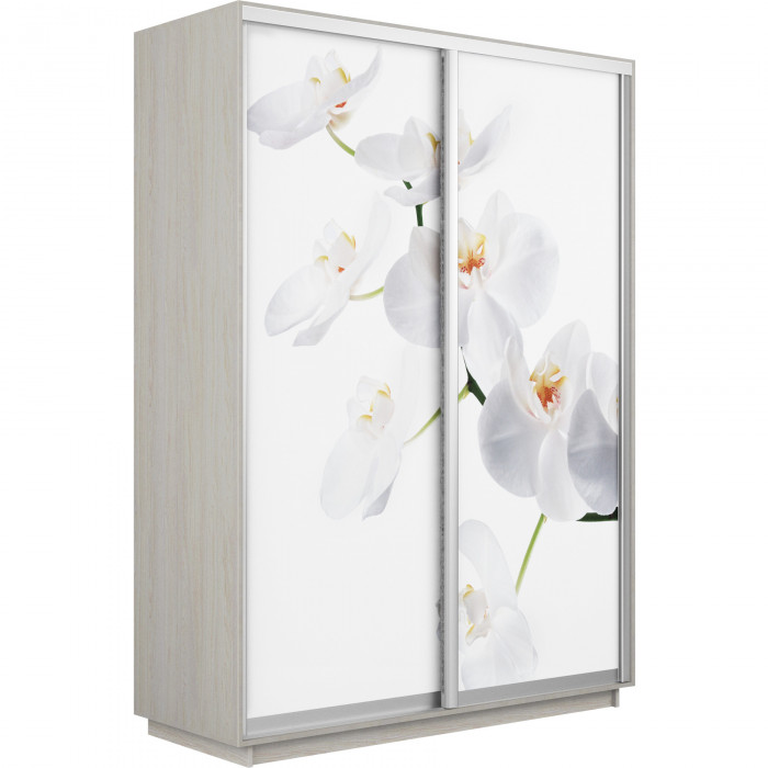 Шкаф купе Дуо Фото Экспресс 1600 Е1