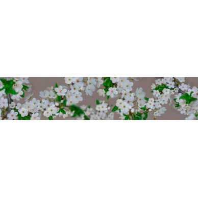 Фартук МДФ SP 233 ALBICO