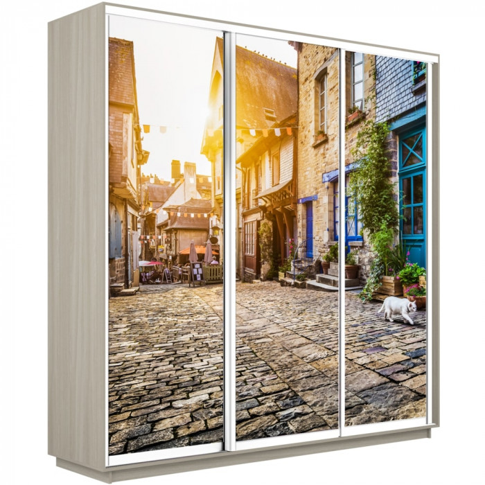 Шкаф купе Трио Фото Экспресс 1800 Е1