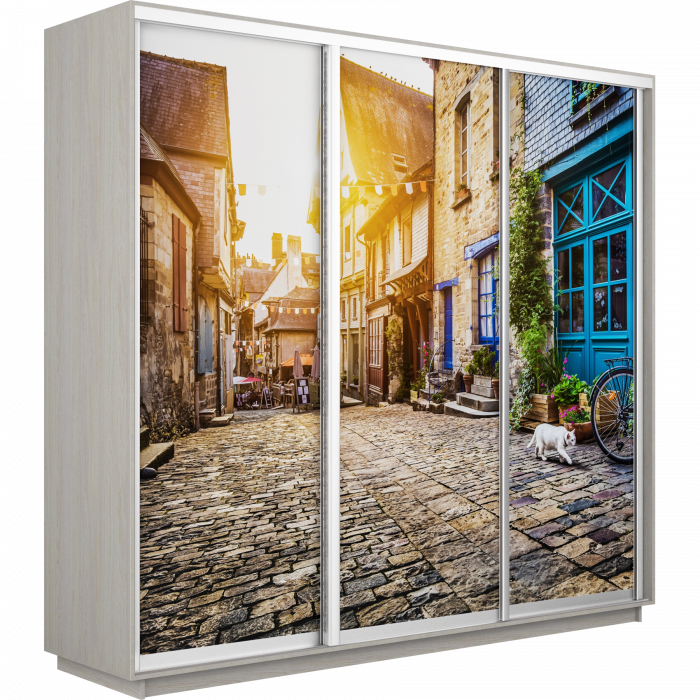 Шкаф купе Трио Фото Экспресс 1800 Е1