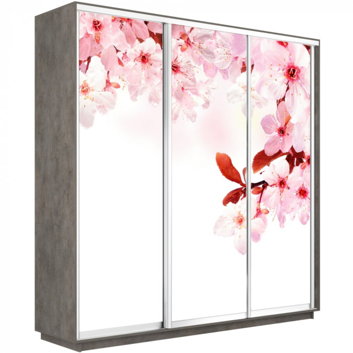 Шкаф купе Трио Фото Экспресс 1800 Е1