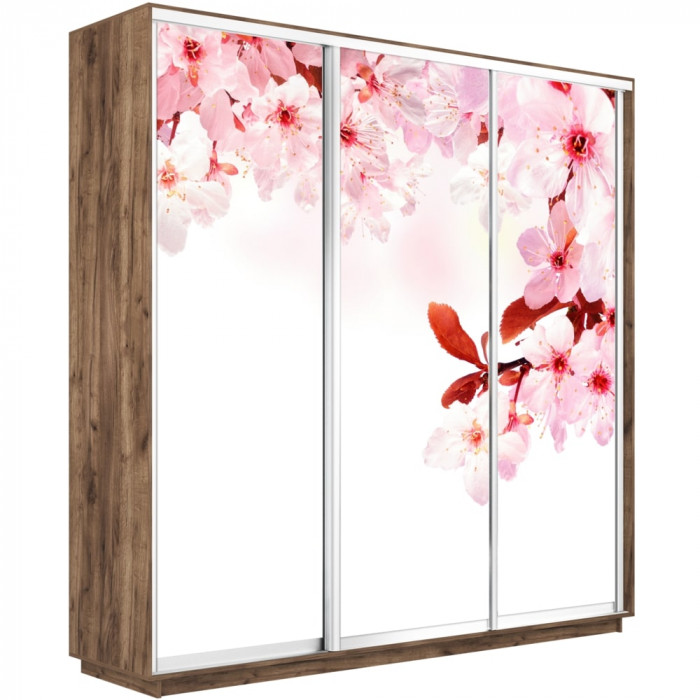 Шкаф купе Трио Фото Экспресс 1800 Е1