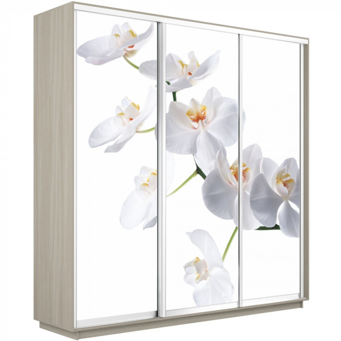 Шкаф купе Трио Фото Экспресс 1800 Е1