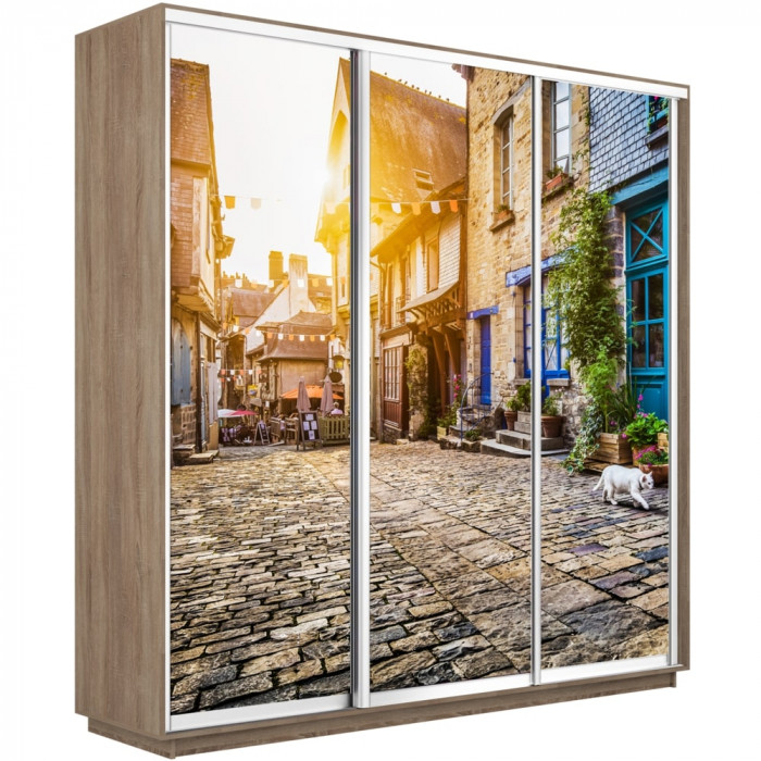 Шкаф купе Трио Фото Экспресс 2100 Е1