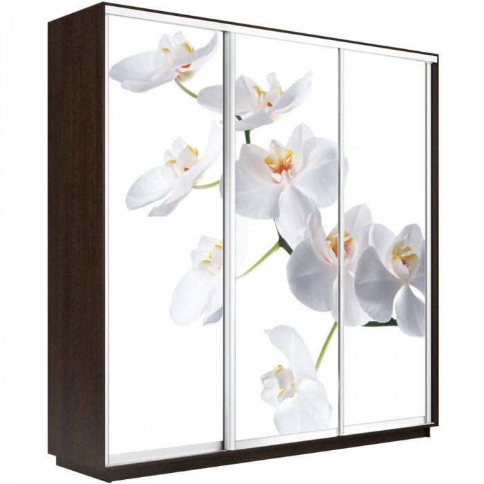 Шкаф купе Трио Фото Экспресс 2100 Е1