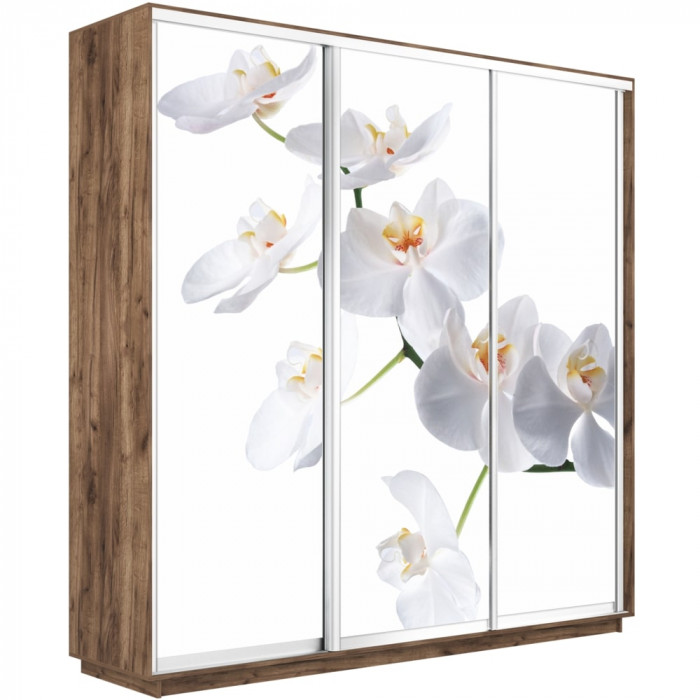 Шкаф купе Трио Фото Экспресс 2100 Е1