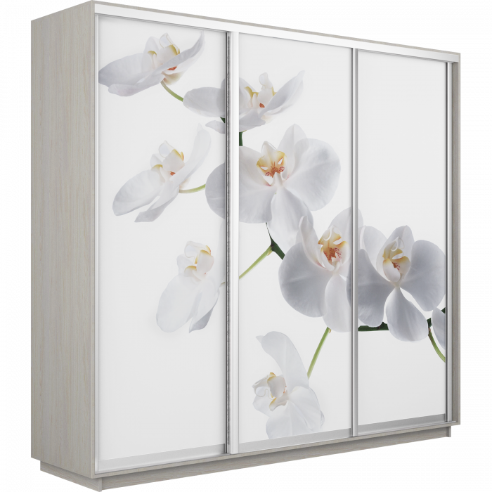 Шкаф купе Трио Фото Экспресс 2100 Е1