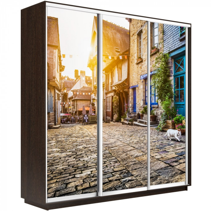 Шкаф купе Трио Фото Экспресс 2400 Е1