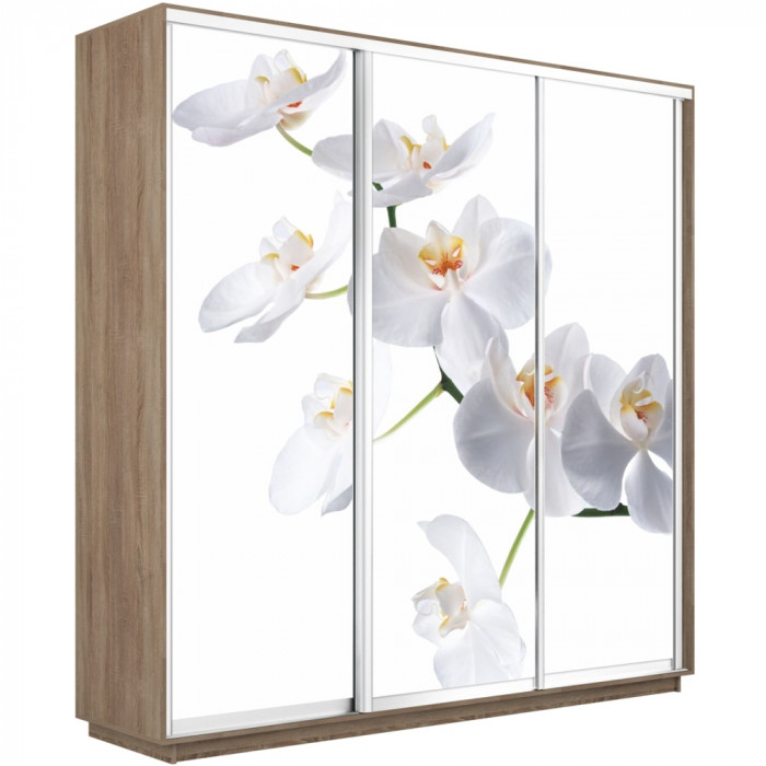 Шкаф купе Трио Фото Экспресс 2400 Е1