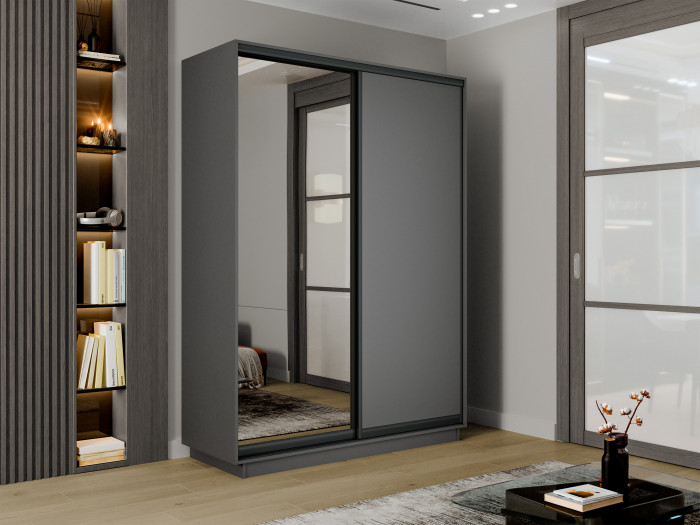 Шкаф купе 2-х дв. ДСП и зеркало 1200/2200/450 Экспресс 2