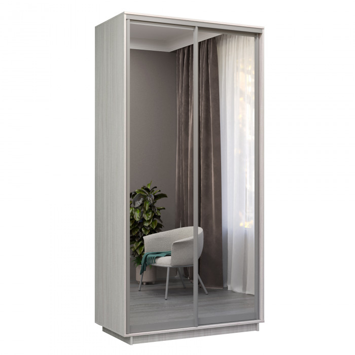 Шкаф купе Дуо 2 зеркала Экспресс 120х240 Е1