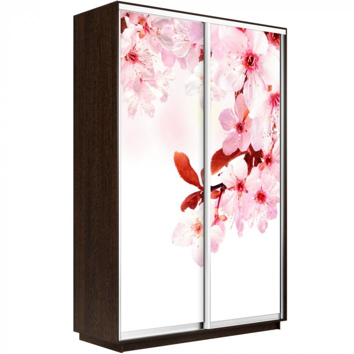 Шкаф купе Дуо Фото Экспресс 1200х2400 Е1