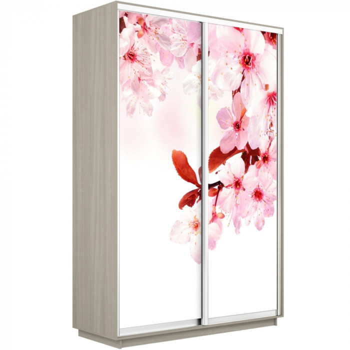 Шкаф купе Дуо Фото Экспресс 1200х2400 Е1