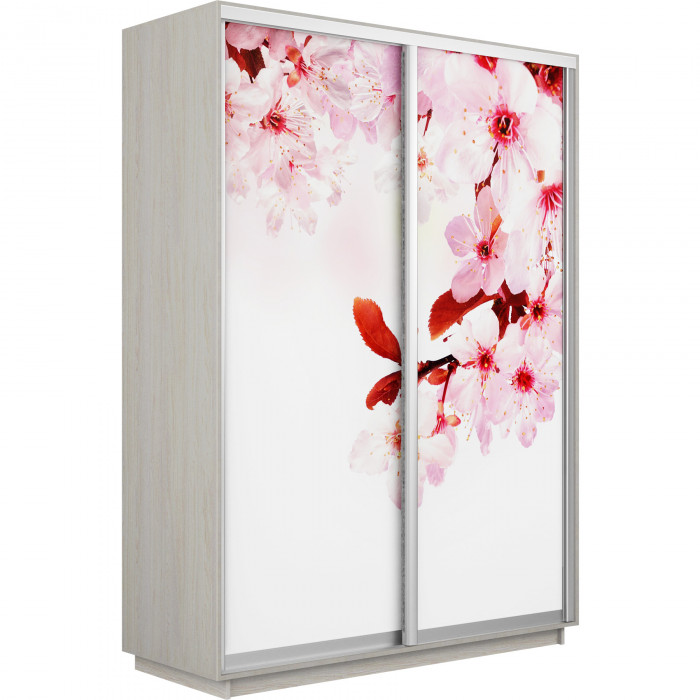 Шкаф купе Дуо Фото Экспресс 1200х2400 Е1