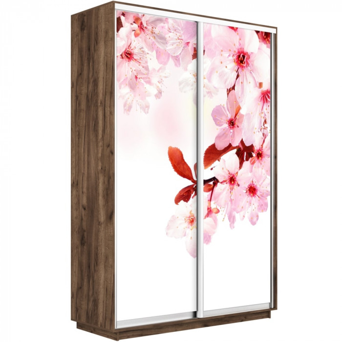 Шкаф купе Дуо Фото Экспресс 1600х2400 Е1