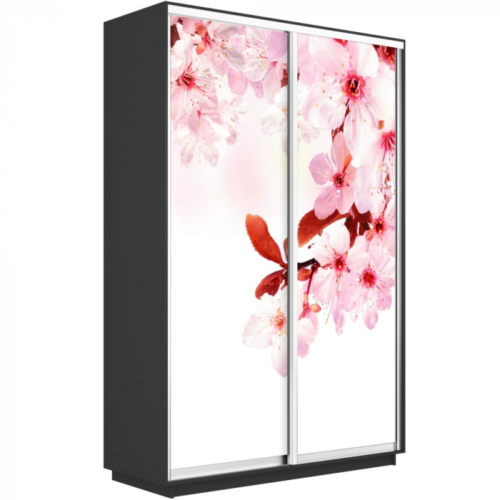 Шкаф купе Дуо Фото Экспресс 1600х2400 Е1