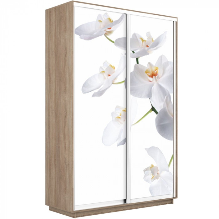 Шкаф купе Дуо Фото Экспресс 1600х2400 Е1