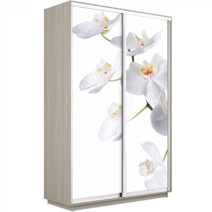 Шкаф купе Дуо Фото Экспресс 1600х2400 Е1