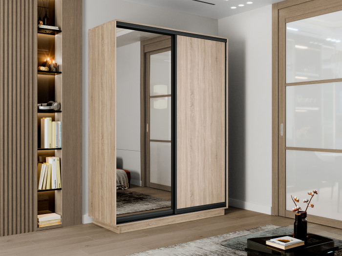 Шкаф купе 2-х дв. ДСП и зеркало 1600/2400/450 Экспресс 2