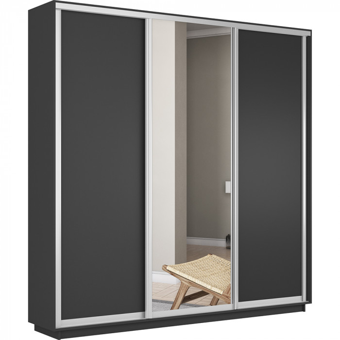 Шкаф купе Трио Медиум 1 Экспресс 2100х2400 Е1