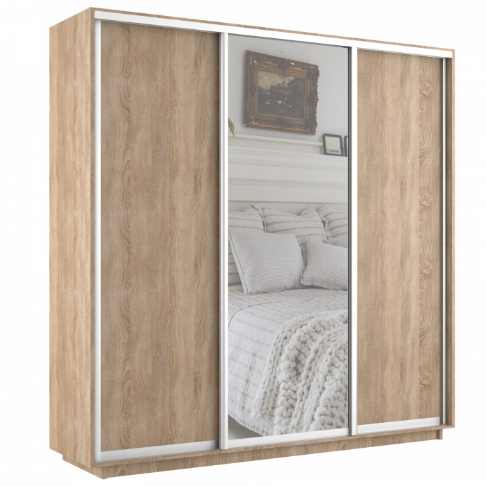 Шкаф купе Трио Медиум 1 Экспресс 2400х2400 Е1