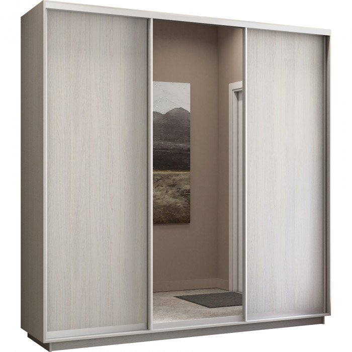 Шкаф купе Трио Медиум 1 Экспресс 2400х2400 Е1