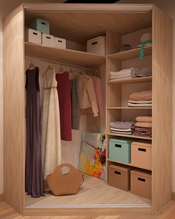 Угловой шкаф-купе Елена Лофт