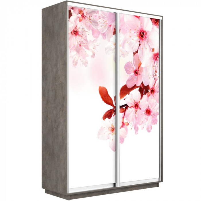 Шкаф купе Дуо Фото Экспресс 1400х2400 Е1