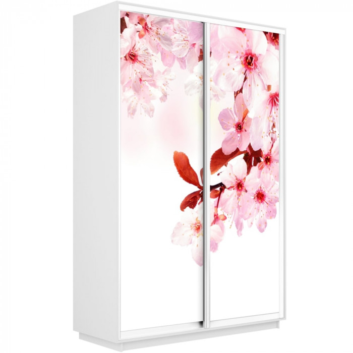 Шкаф купе Дуо Фото Экспресс 1400х2400 Е1